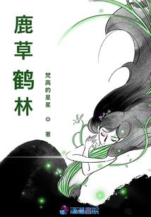 大道本无极