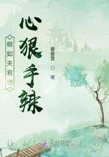 景轩传
