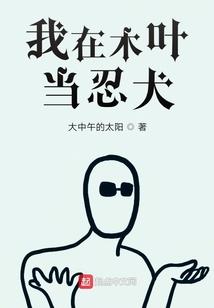 飞羽的爱恋