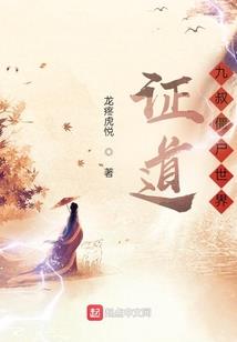 双生神之轮回篇