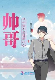 星卫危机