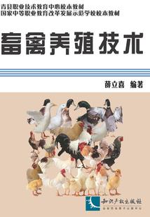 起源时代