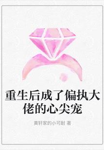 九境风云录