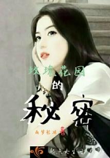 梦想街机