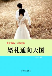 灰衣的小夕