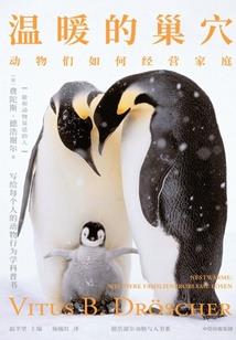凌天下