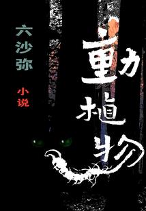 军营叙事