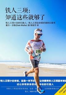 鬼泣之魔鬼仲裁人