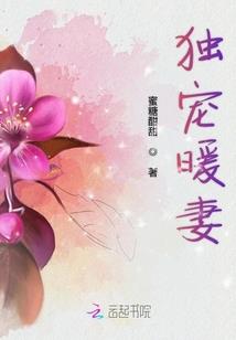 星辉守护