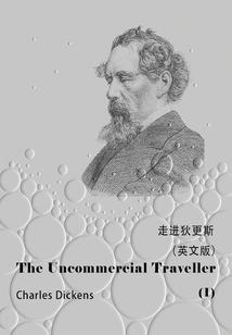 异域伪君子