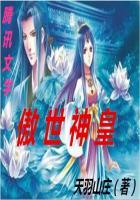 陨落的黑色羽翼