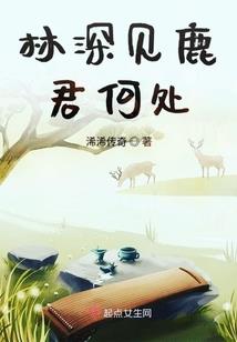 蓝颜魅惑：修真小姐，好帅！