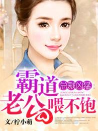狂爱逃妻：老婆是小偷