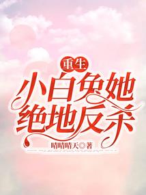 海贼王之大将黄猿系统