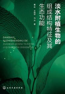 闪耀！奥特圣光