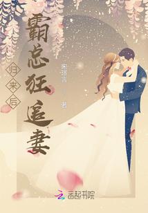 boss隐婚记：傲娇夫人很抢手 第二册