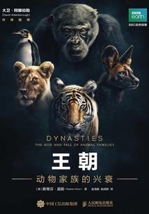 宙宇铜离子