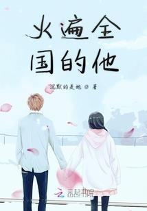 宠物小精灵之光明正义