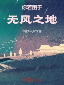 凤湾之夜