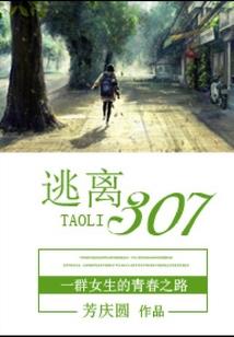 怒火双枪
