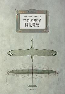 请叫我玛丽苏
