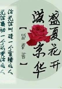 法网真情