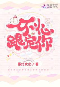 风沉月引