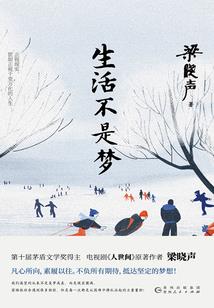 冷少甜宠调皮小仙女
