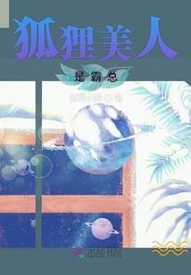 我的世界之光暗之争