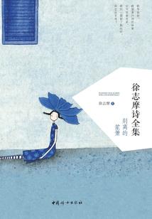 我的场论