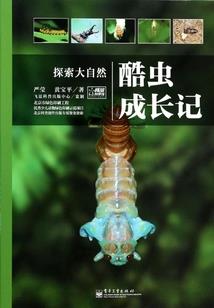 出水不芙蓉