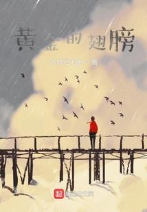 宝可梦：开局地狱级任务