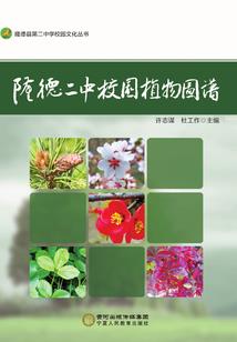 宠婚甜蜜蜜：老公，撩上瘾