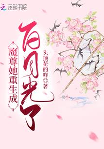 哈利波特之守护者