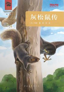 腹黑王爷拐妻记