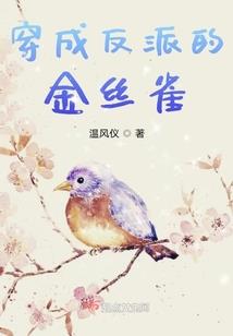 大道歌：法则与抗争
