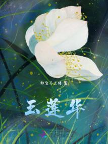 星之国