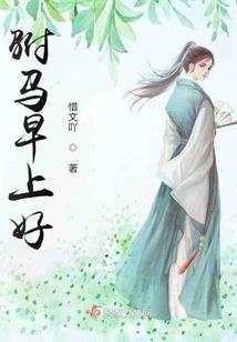 末世摄像机