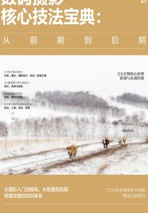 江水映月