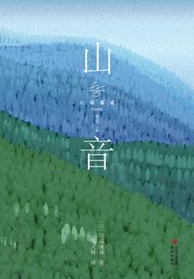 用泪水纪念的青春