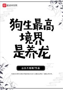 镇国大护卫