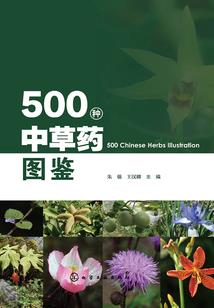 异界之灾