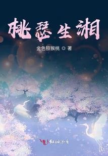 哈利波特之纵横