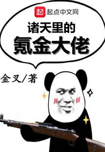 流浪的光明骑士