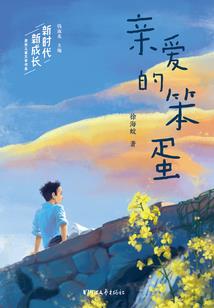 轻华少宫主