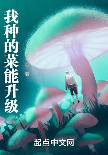 乱世今生