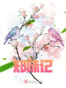 荣耀之职业外援