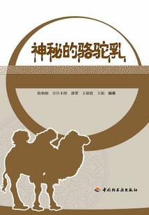 时空组之神魄奇缘