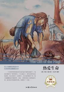 真玩家