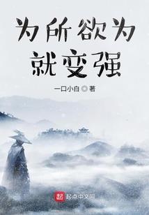 我的顶级偶像之路